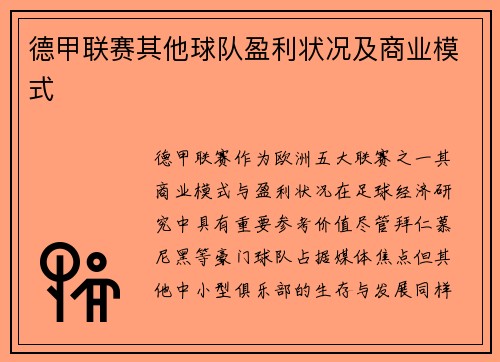 德甲联赛其他球队盈利状况及商业模式