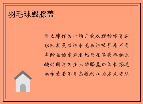 羽毛球毁膝盖