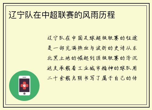 辽宁队在中超联赛的风雨历程